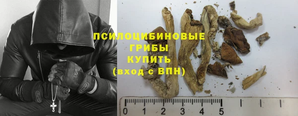 дурь Алексеевка