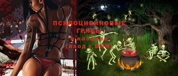 амф Дмитриев