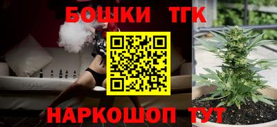 твердый Камышлов