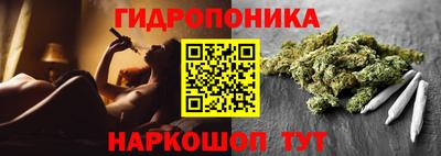 винт Канаш