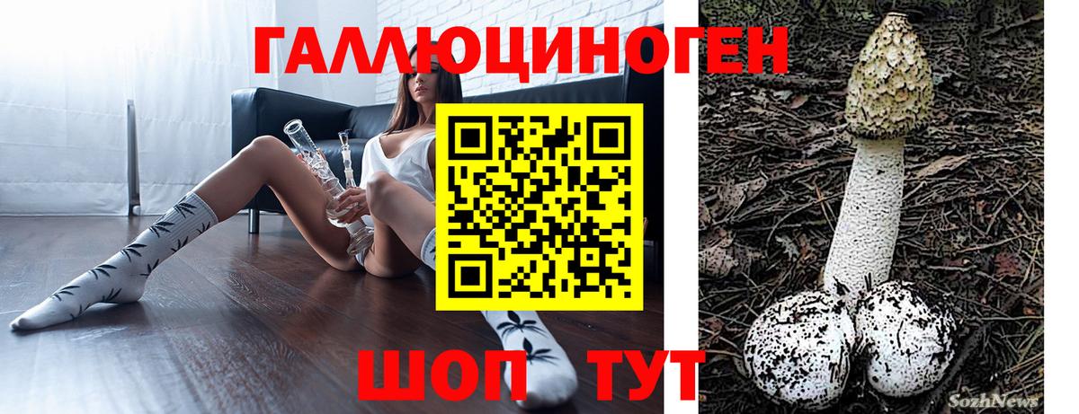 Псилоцибиновые грибы Psilocybe Лениногорск