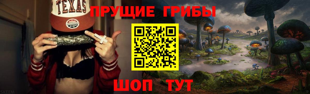 Псилоцибиновые грибы прущие грибы  Вход с VPN  Лениногорск 